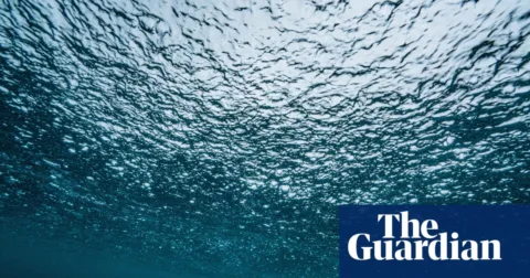 Gulf stream could collapse as early as 2025, study suggests