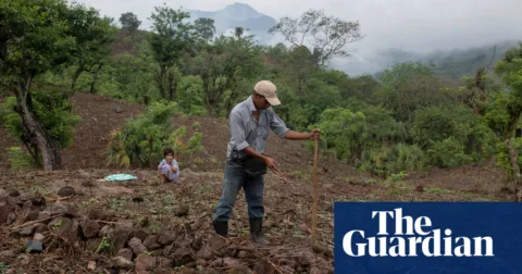 People are dying: how the climate crisis has sparked an exodus to the US