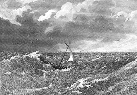 The Contrarian Trade of the Decade: The Dollar Refuses to Die