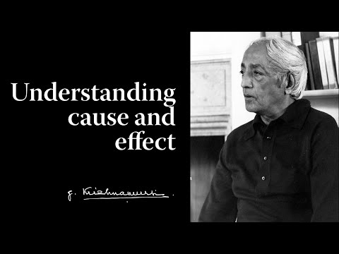 Understanding cause and effect